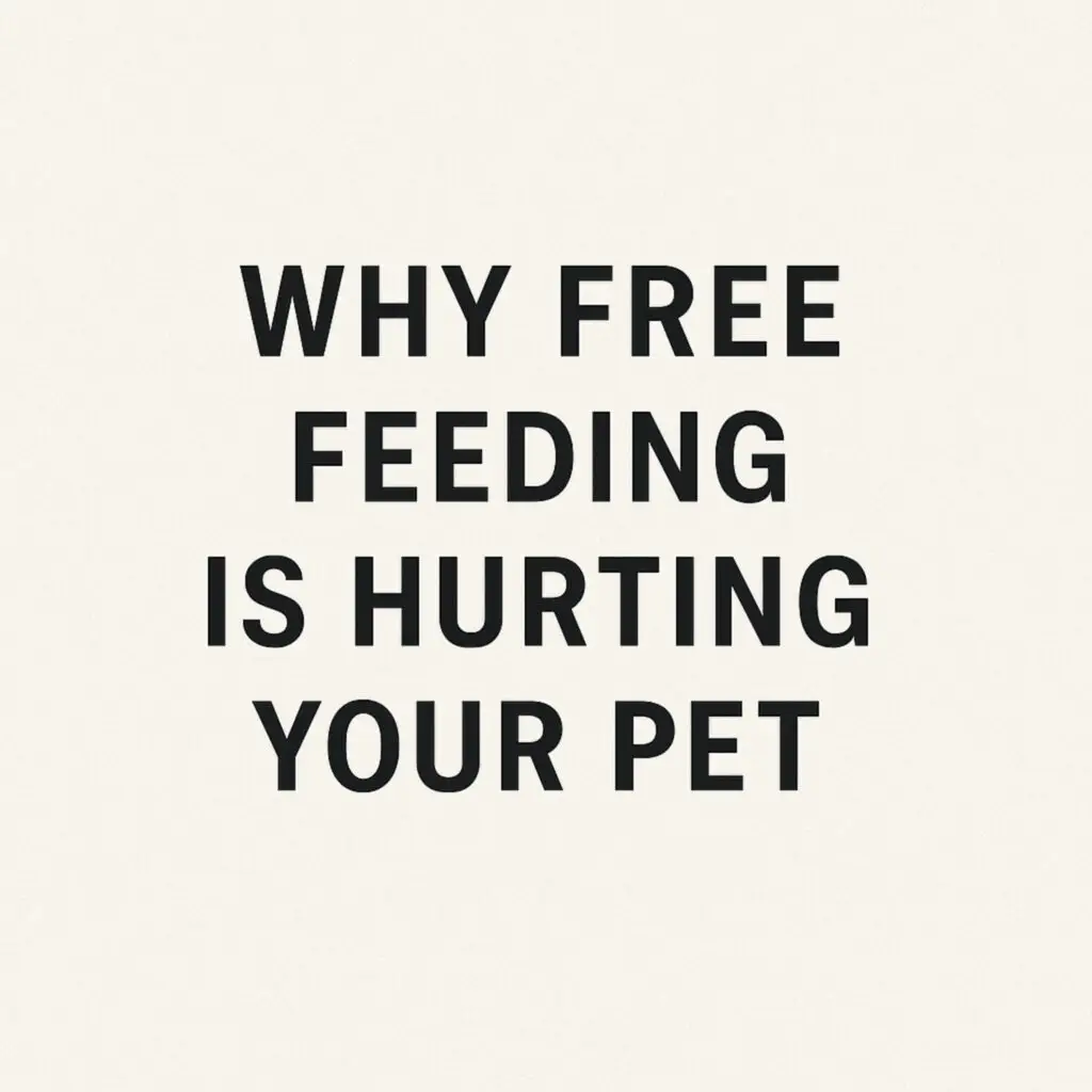 Minimalist graphic with bold black text that says “Why Free Feeding Is Hurting Your Pet” on a light background.