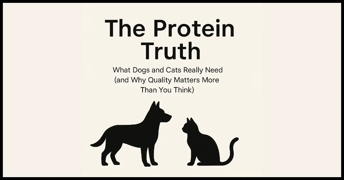 The Protein Truth: What Dogs and Cats Really Need | blog.purrsmcbarkin.com