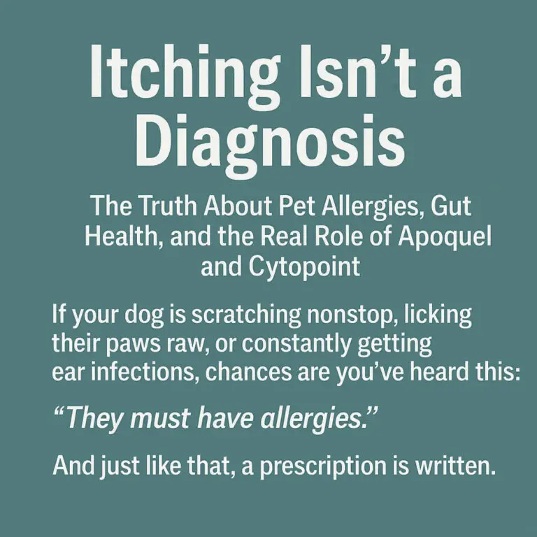 Text graphic for blog post titled "Itching Isn’t a Diagnosis" about pet allergies, gut health, Apoquel, and Cytopoint.
