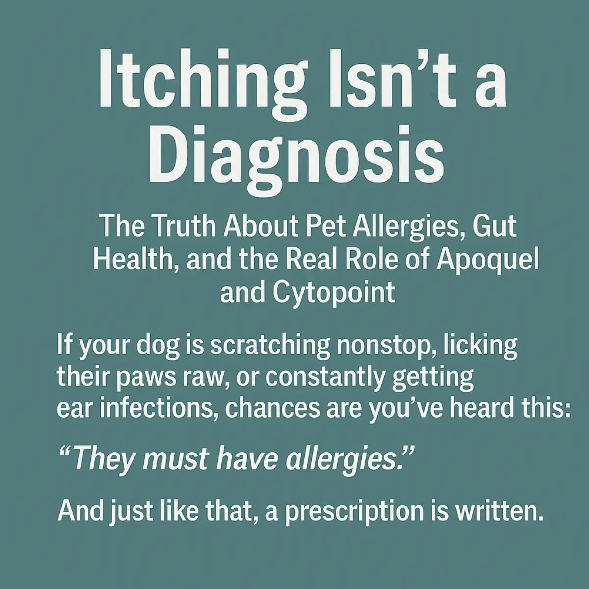 Text graphic for blog post titled "Itching Isn’t a Diagnosis" about pet allergies, gut health, Apoquel, and Cytopoint.