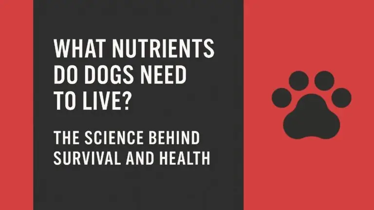 What nutrients do dogs need to live? Cover image with a paw print and blog title about canine nutrition.