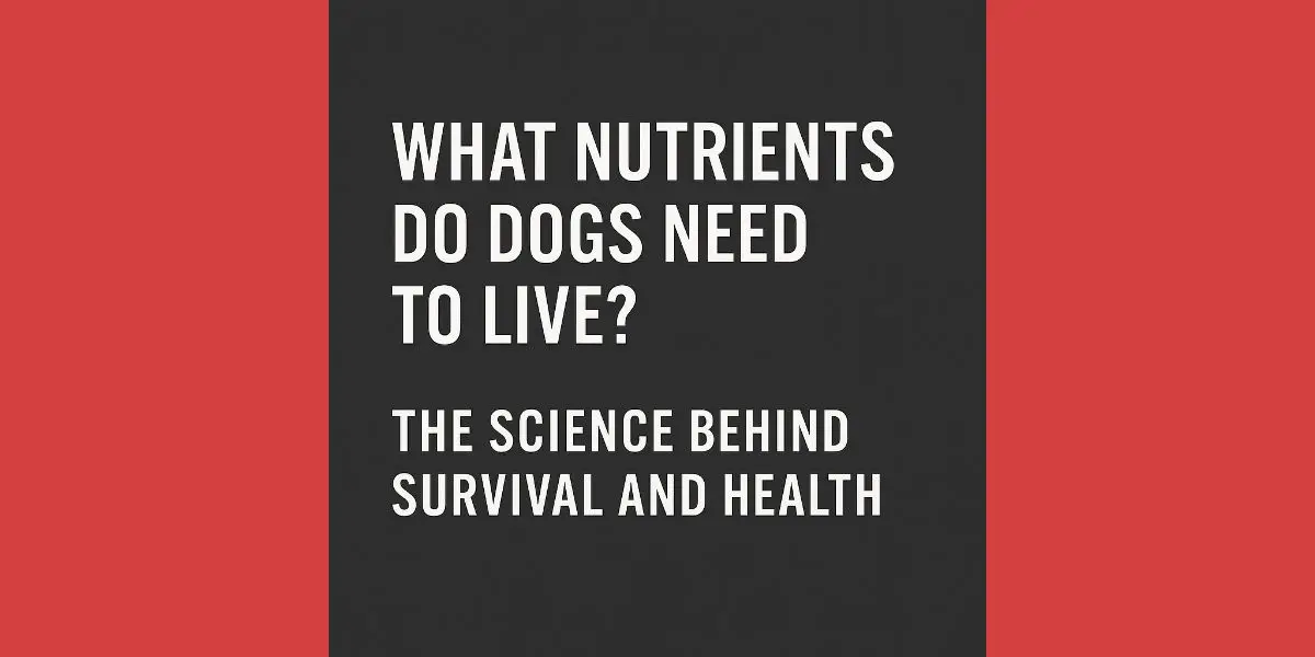 What nutrients do dogs need to live cover image with black and red background and bold title text about canine nutrition.