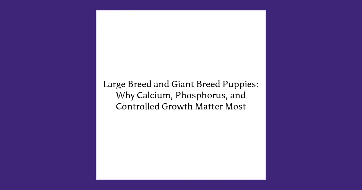 Large breed and giant breed puppy nutrition guide about calcium, phosphorus, and controlled growth.