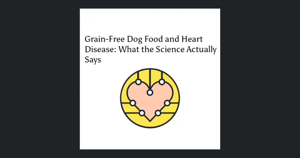 Illustration for Grain-Free Dog Food and Heart Disease: What the Science Actually Says