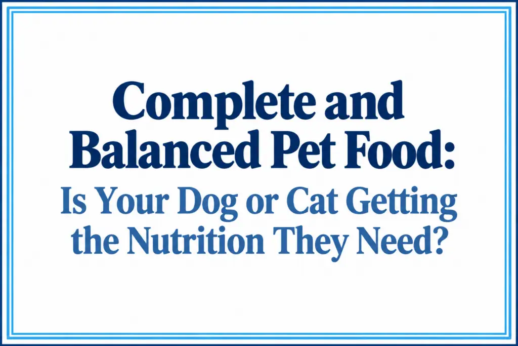 Complete and Balanced Pet Food: Is Your Dog or Cat Getting the Nutrition They Need?