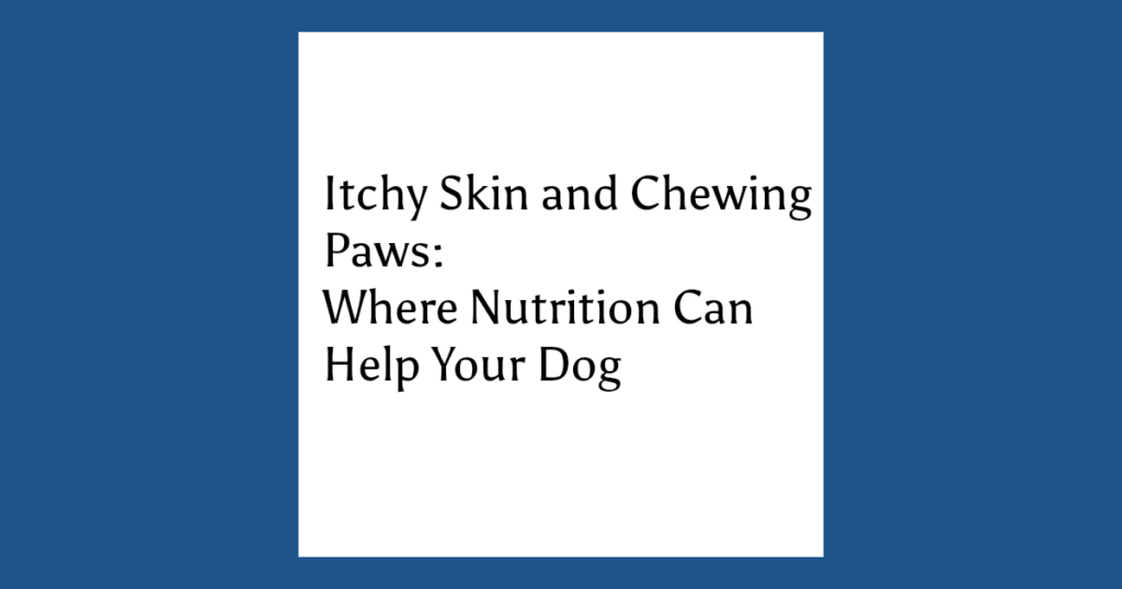 Itchy Skin and Chewing Paws: Where Nutrition Can Help Your Dog